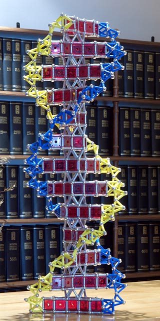 Construcciones con GEOMAG: Doble hélice de ADN, versión 1, vista 1